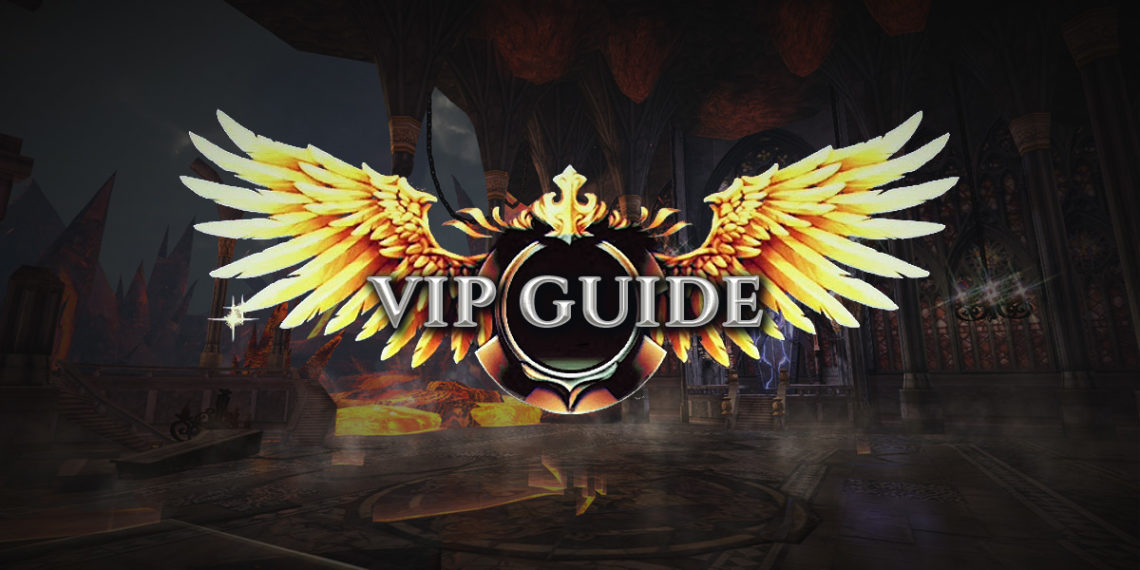VIP Guide.jpg
