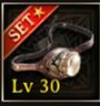 Picture of the Destroyer Set level 30 Accessory