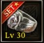 Picture of the Dominator Set level 30 Ring